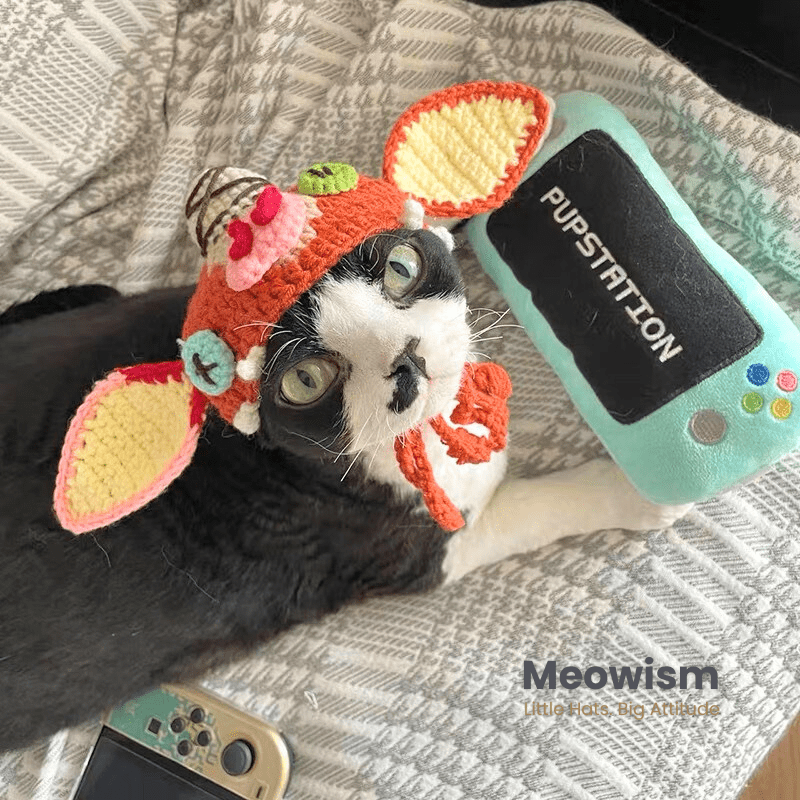 😺 How to Measure Your Cat’s Head Size in 3 Easy Steps - Meowism
