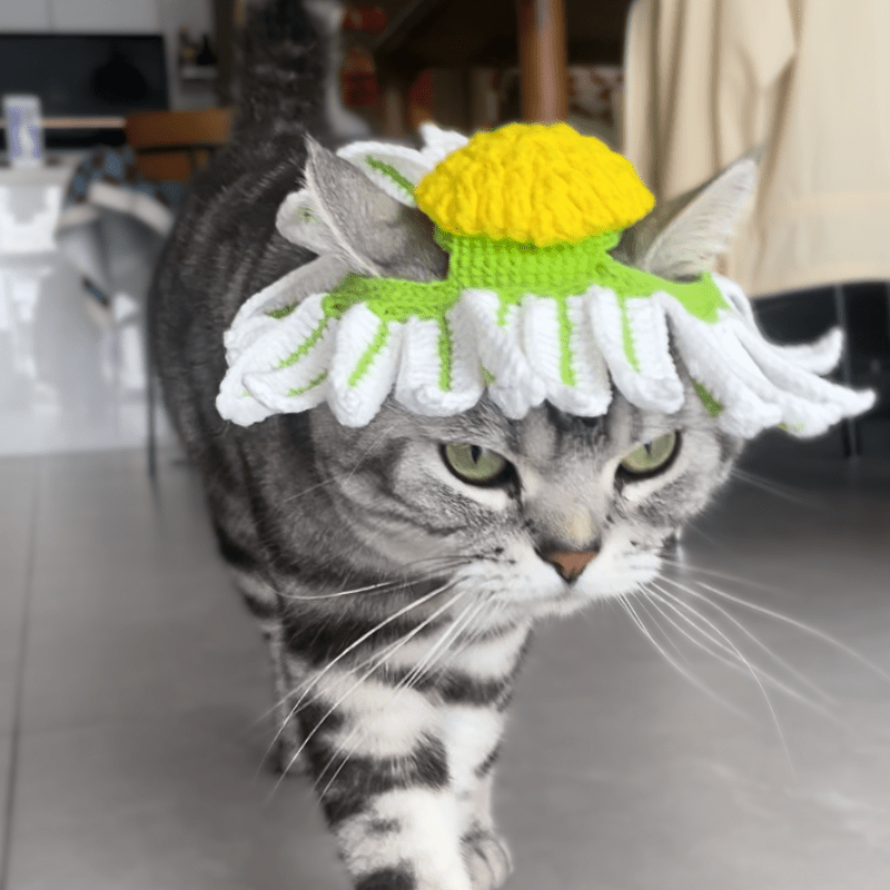 🌼 Bloom & Meow: Handmade Daisy Pet Hat - Meowism