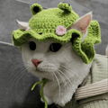 🐸 Frog Prince Kitty Hat - Meowism