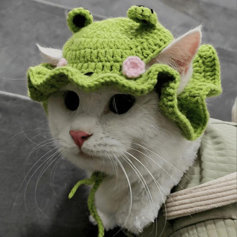 🐸 Frog Prince Kitty Hat - Meowism