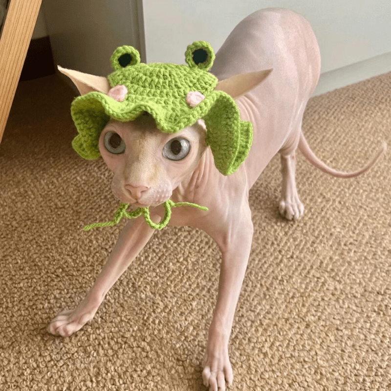 🐸 Frog Prince Kitty Hat - Meowism