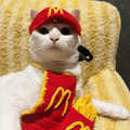 🍟 MeowDonald’s Cat Outfit - Meowism