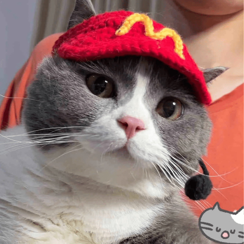🍟 MeowDonald’s Cat Outfit - Meowism