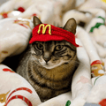 🍟 MeowDonald’s Cat Outfit - Meowism