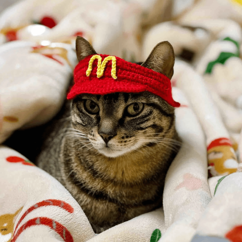 🍟 MeowDonald’s Cat Outfit - Meowism
