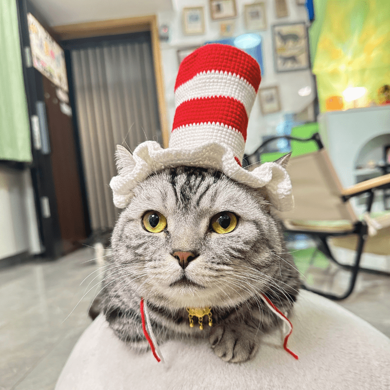 Meowgical Cat Hat - Meowism