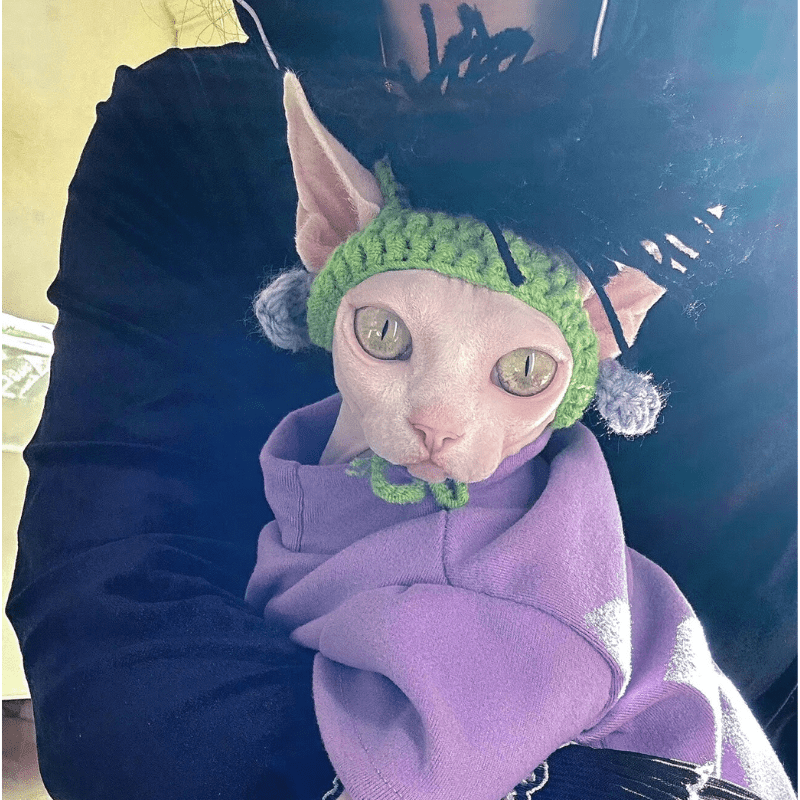 Punk Rock Kitty Wig Hat - Meowism